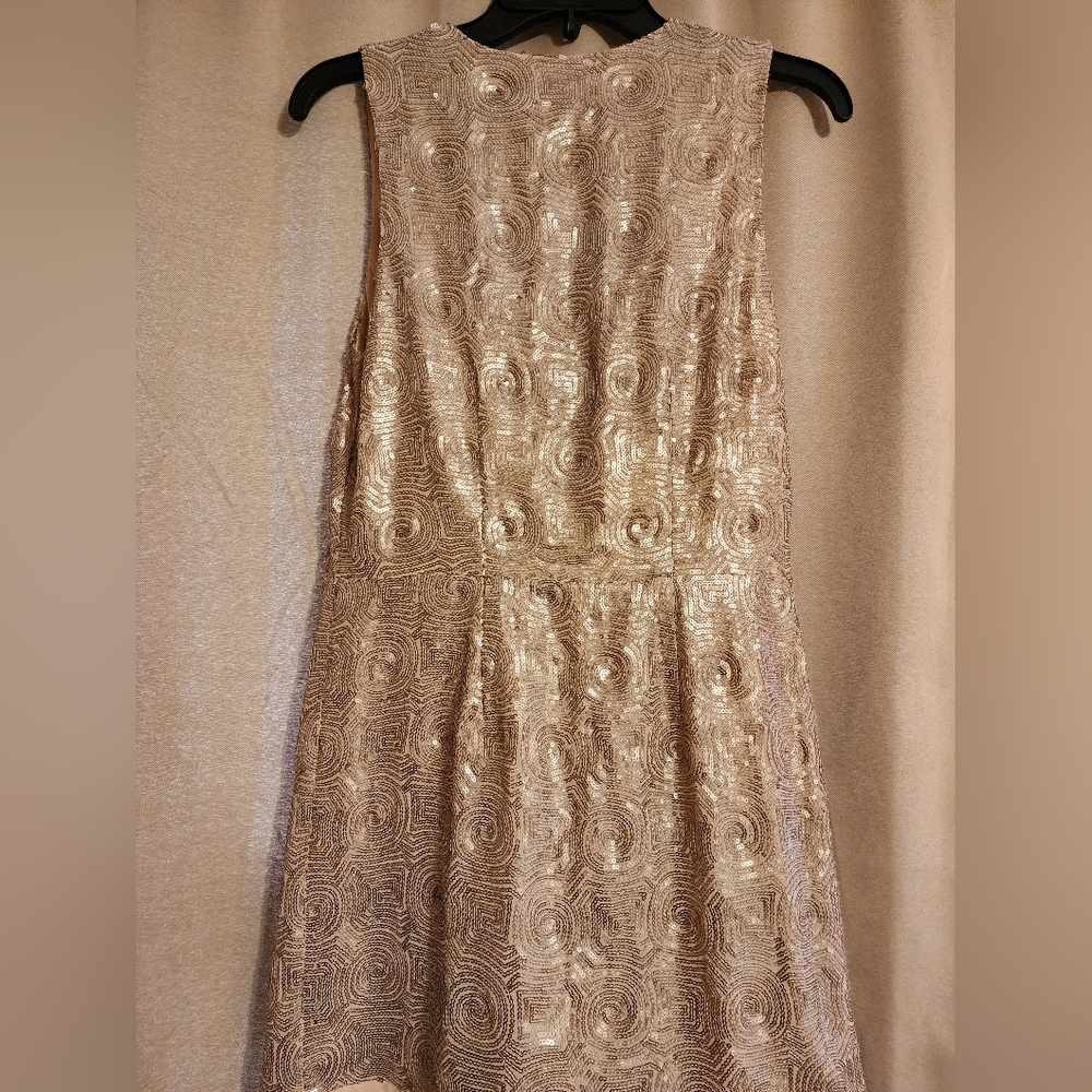 Free People Sequin Champagne Mini Dress, Size 2, Worn Once - Picture 7 of 11